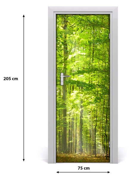 Fototapeta na dvere bukový les 75x205 cm