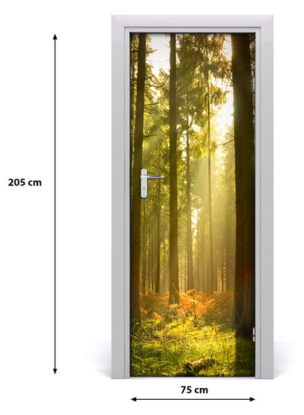 Fototapeta na dvere pekný les 75x205 cm