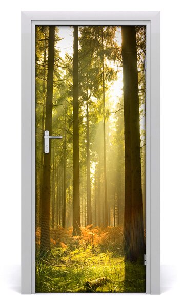 Fototapeta na dvere pekný les 85x205 cm
