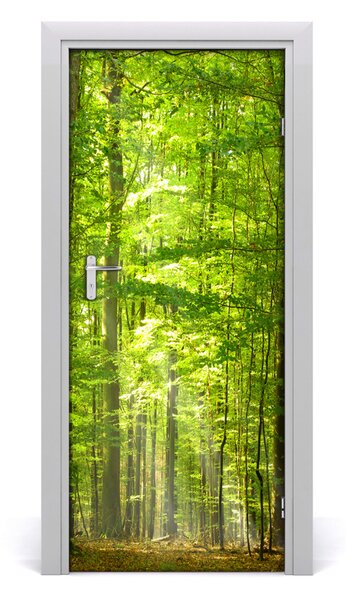 Fototapeta na dvere bukový les 85x205 cm