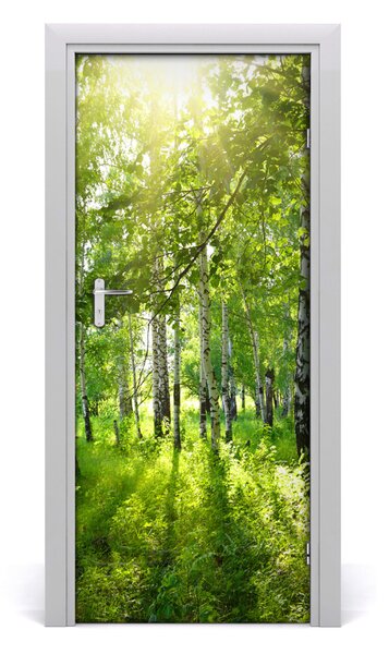 Fototapeta na dvere Břízová les 85x205 cm