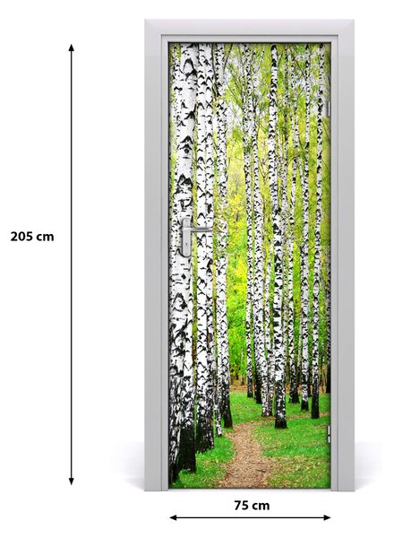 Fototapeta na dvere Břízová les 75x205 cm