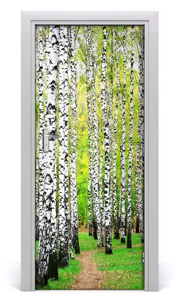 Fototapeta na dvere Břízová les 85x205 cm
