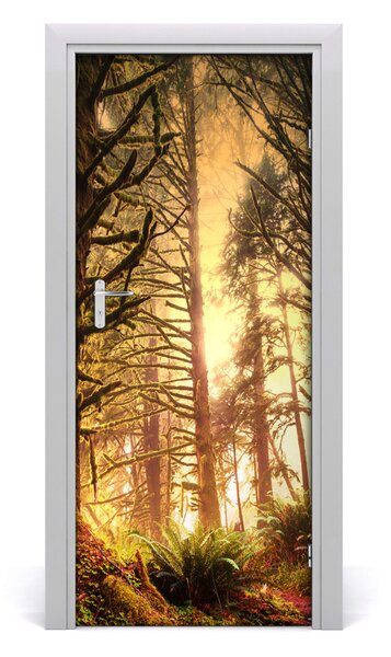 Fototapeta na dvere dažďový les 85x205 cm