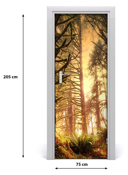 Fototapeta na dvere dažďový les 75x205 cm