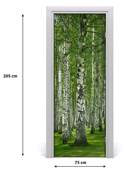 Fototapeta na dvere Břízová les 75x205 cm