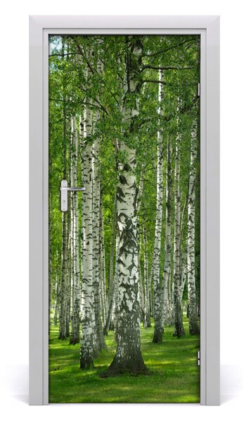 Fototapeta na dvere Břízová les 85x205 cm