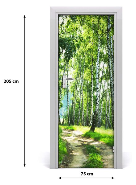 Fototapeta na dvere Břízová les 75x205 cm