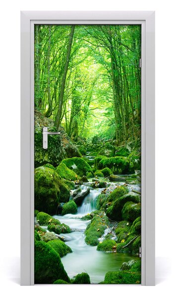 Fototapeta na dvere potok džungle 85x205 cm