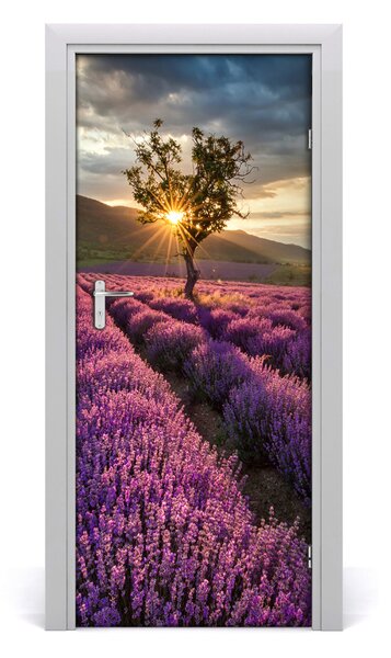 Fototapeta na dvere poľa levanduľa 85x205 cm