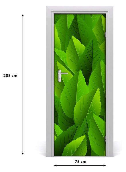 Samolepiace fototapety na dvere zelené lístie 75x205 cm