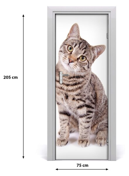 Samolepiace fototapety na dvere mačka 75x205 cm