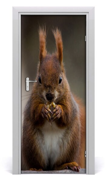 Samolepiace fototapety na dvere Veverka 85x205 cm