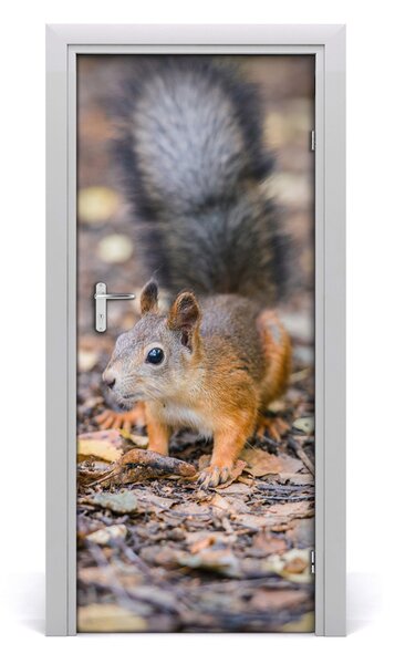 Samolepiace fototapety na dvere Veverička v lezie 85x205 cm