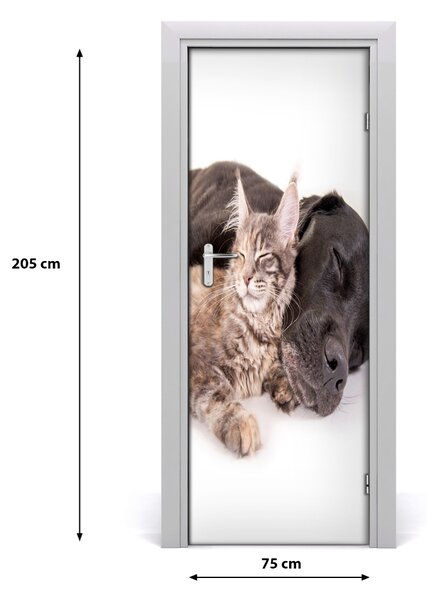 Samolepiace fototapety na dvere Pes a mačka 75x205 cm