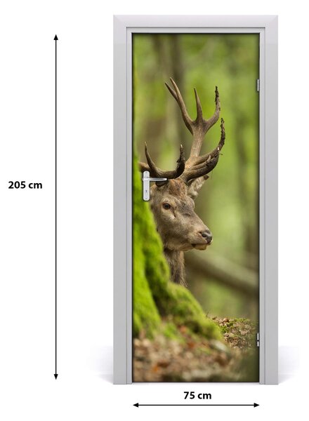Samolepiace fototapety na dvere jeleň 75x205 cm