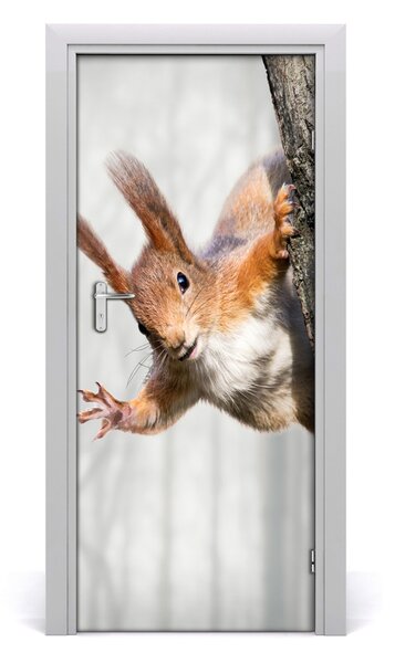 Samolepiace fototapety na dvere Veverička na strome 85x205 cm