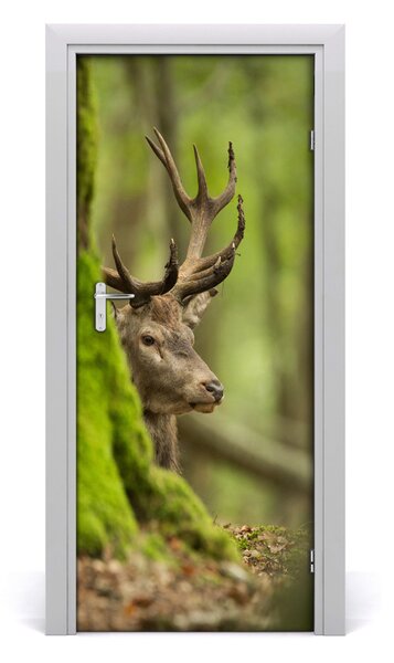 Samolepiace fototapety na dvere jeleň 85x205 cm