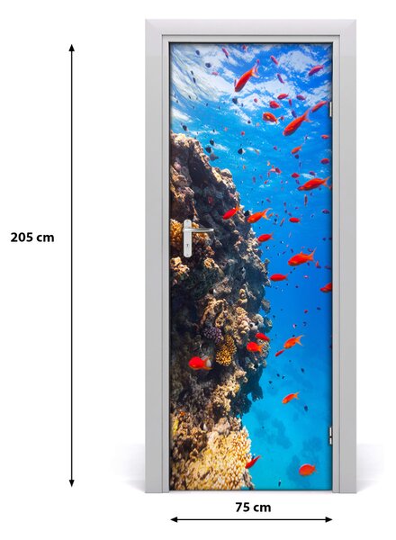 Samolepiace fototapety na dvere koralový útes 75x205 cm