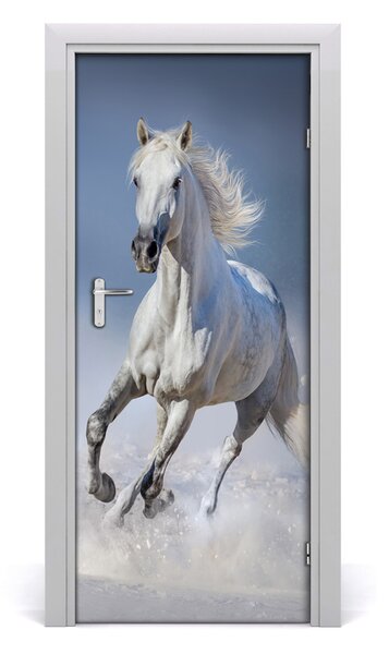 Samolepiace fototapety na dvere Kôň v cvale 85x205 cm