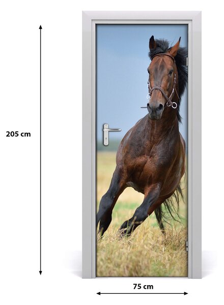Samolepiace fototapety na dvere Kôň na poli 75x205 cm
