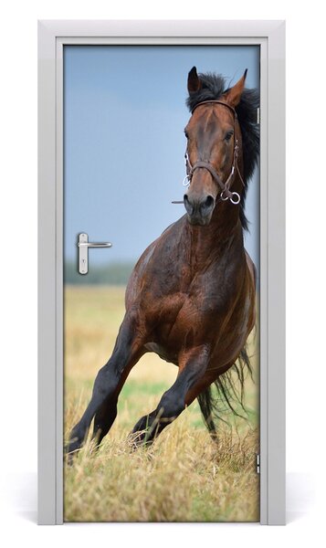 Samolepiace fototapety na dvere Kôň na poli 85x205 cm