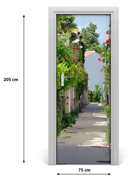 Fototapeta samolepiace dvere francúzskej uličky 75x205 cm