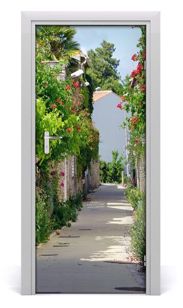 Fototapeta samolepiace dvere francúzskej uličky 85x205 cm