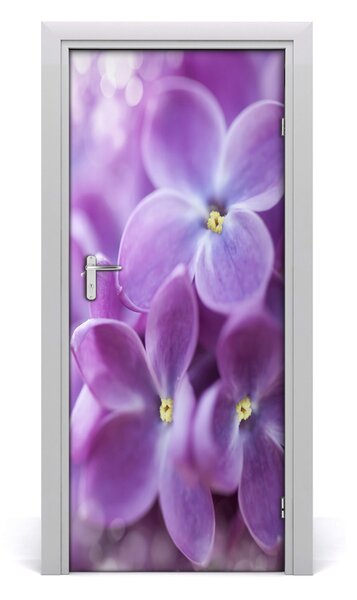 Fototapeta samolepiace kvety bazy 85x205 cm