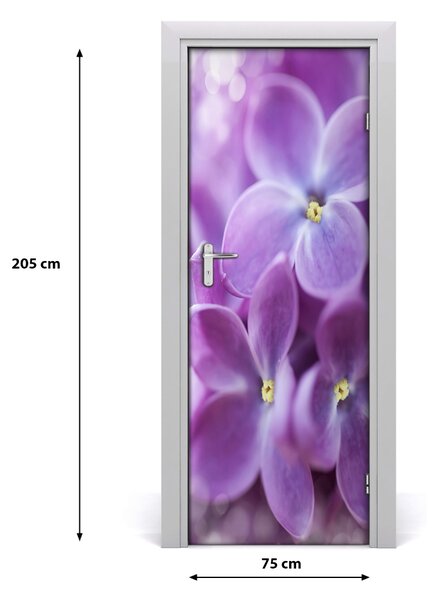 Fototapeta samolepiace kvety bazy 75x205 cm