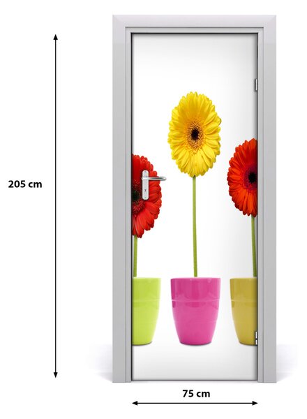 Fototapeta samolepiace farebné gerbery 75x205 cm