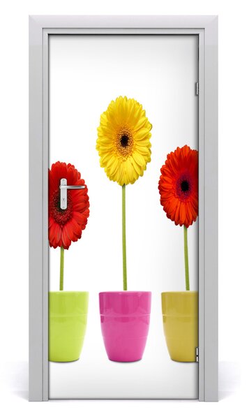 Fototapeta samolepiace farebné gerbery 85x205 cm