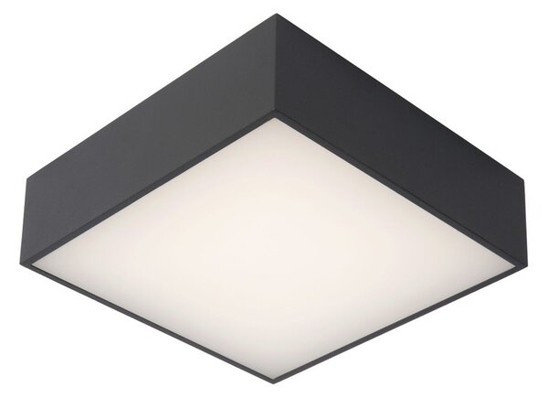 ROXANE - Prisadené stropné osvetlenie do kúpeľne - LED - 1x10W 2700K - IP54 - antracit