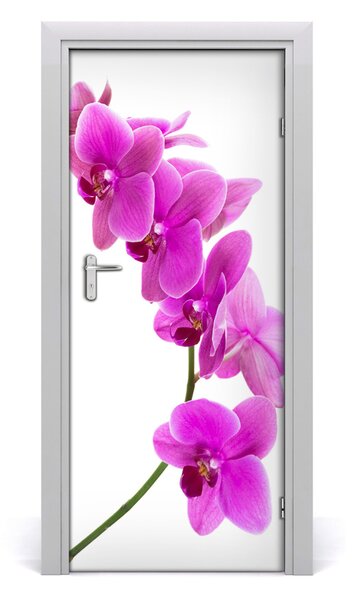 Fototapeta samolepiace ružová orchidea 85x205 cm