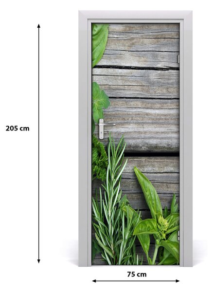 Fototapeta samolepiace Bylinky na strome 75x205 cm