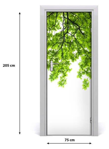 Fototapeta samolepiace koruna stromu 75x205 cm