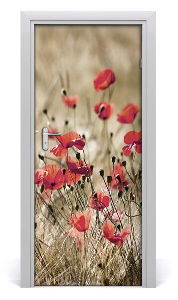 Fototapeta samolepiace Plolní kvety 85x205 cm
