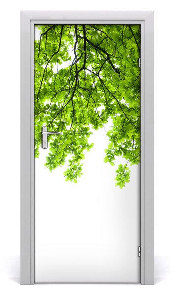 Fototapeta samolepiace koruna stromu 85x205 cm
