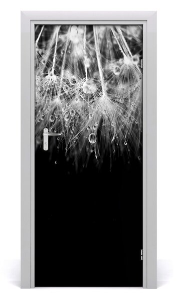 Fototapeta samolepiace semená púpavy 85x205 cm