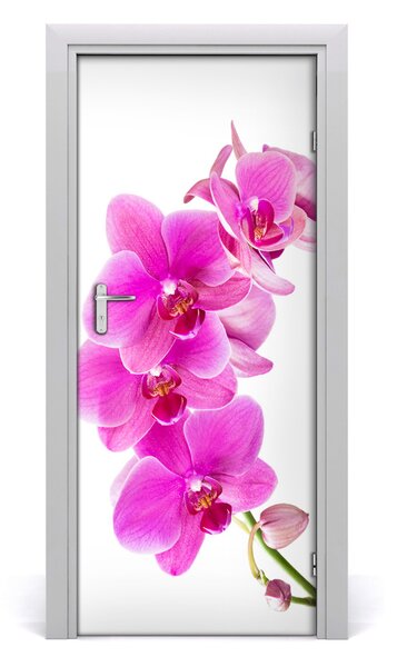 Fototapeta samolepiace ružová orchidea 85x205 cm