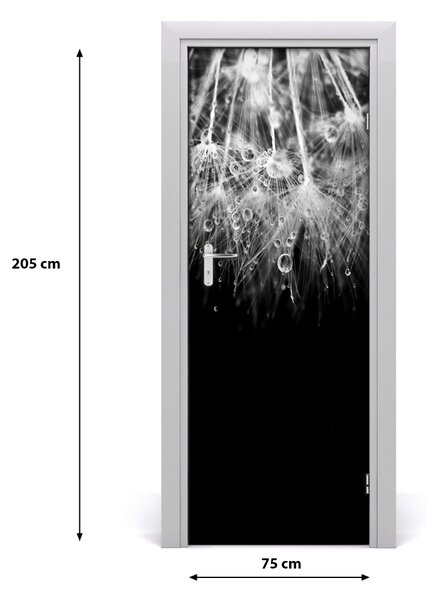 Fototapeta samolepiace semená púpavy 75x205 cm
