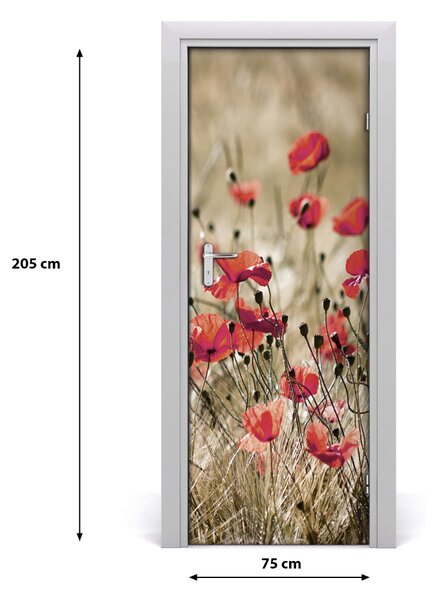 Fototapeta samolepiace Plolní kvety 75x205 cm