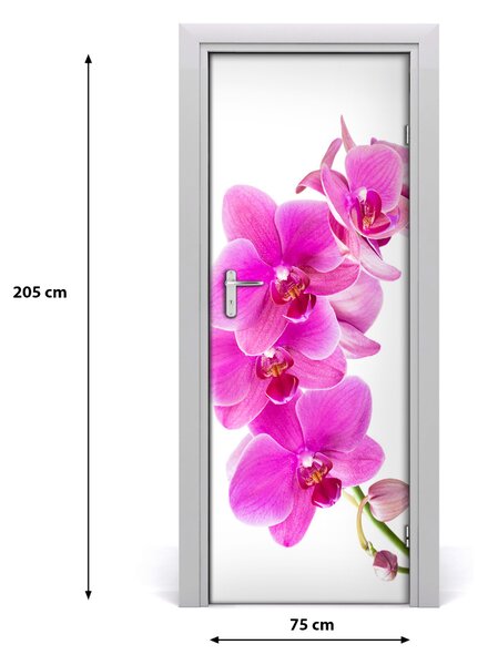 Fototapeta samolepiace ružová orchidea 75x205 cm