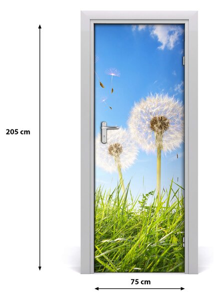 Fototapeta samolepiace Púpavy na lúke 75x205 cm
