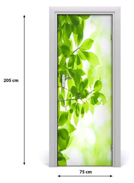 Fototapeta samolepiace zelené lístie 75x205 cm