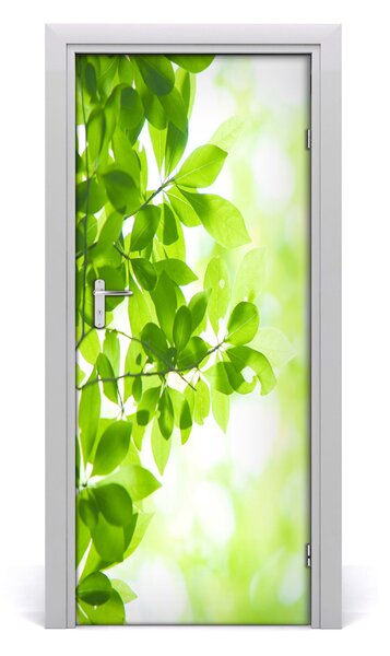 Fototapeta samolepiace zelené lístie 85x205 cm