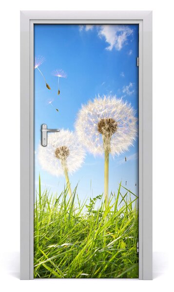 Fototapeta samolepiace Púpavy na lúke 85x205 cm