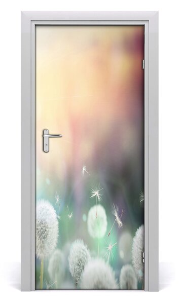 Fototapeta samolepiace púpavy 85x205 cm