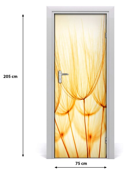 Fototapeta samolepiace semená púpavy 75x205 cm