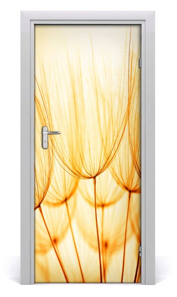 Fototapeta samolepiace semená púpavy 85x205 cm